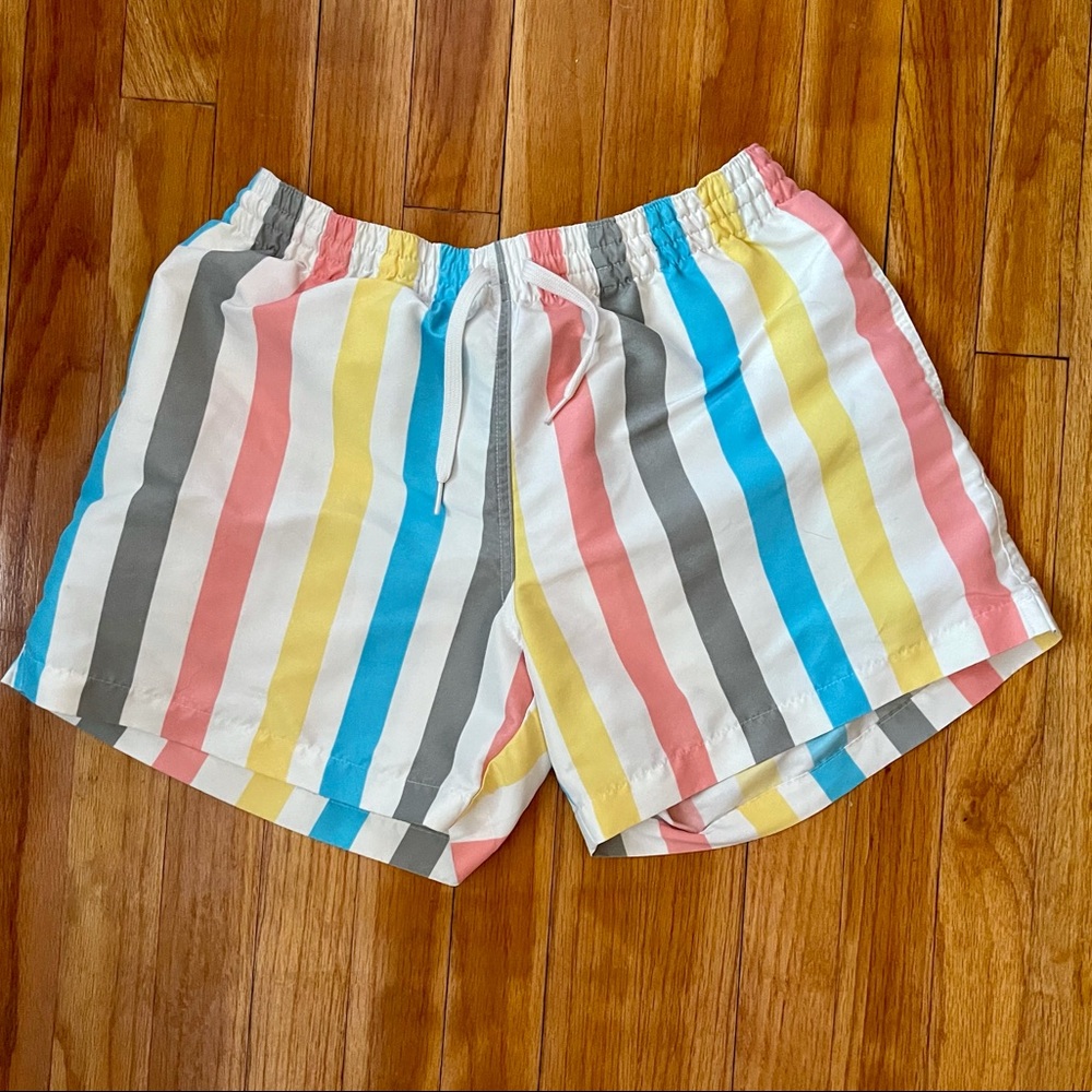 Chubbies Swim Trunks the Archipelagos Medium